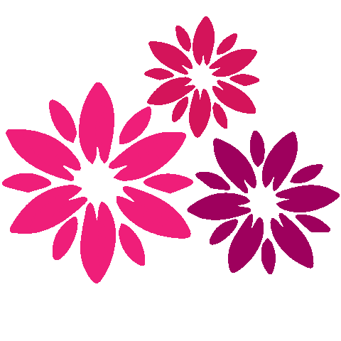 3 pink flowers